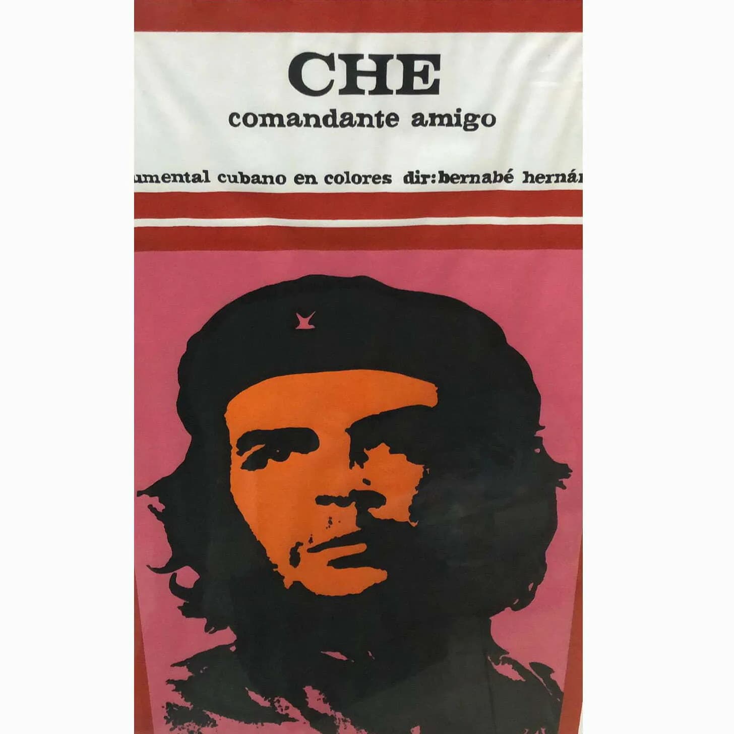 Cartel documental el Che