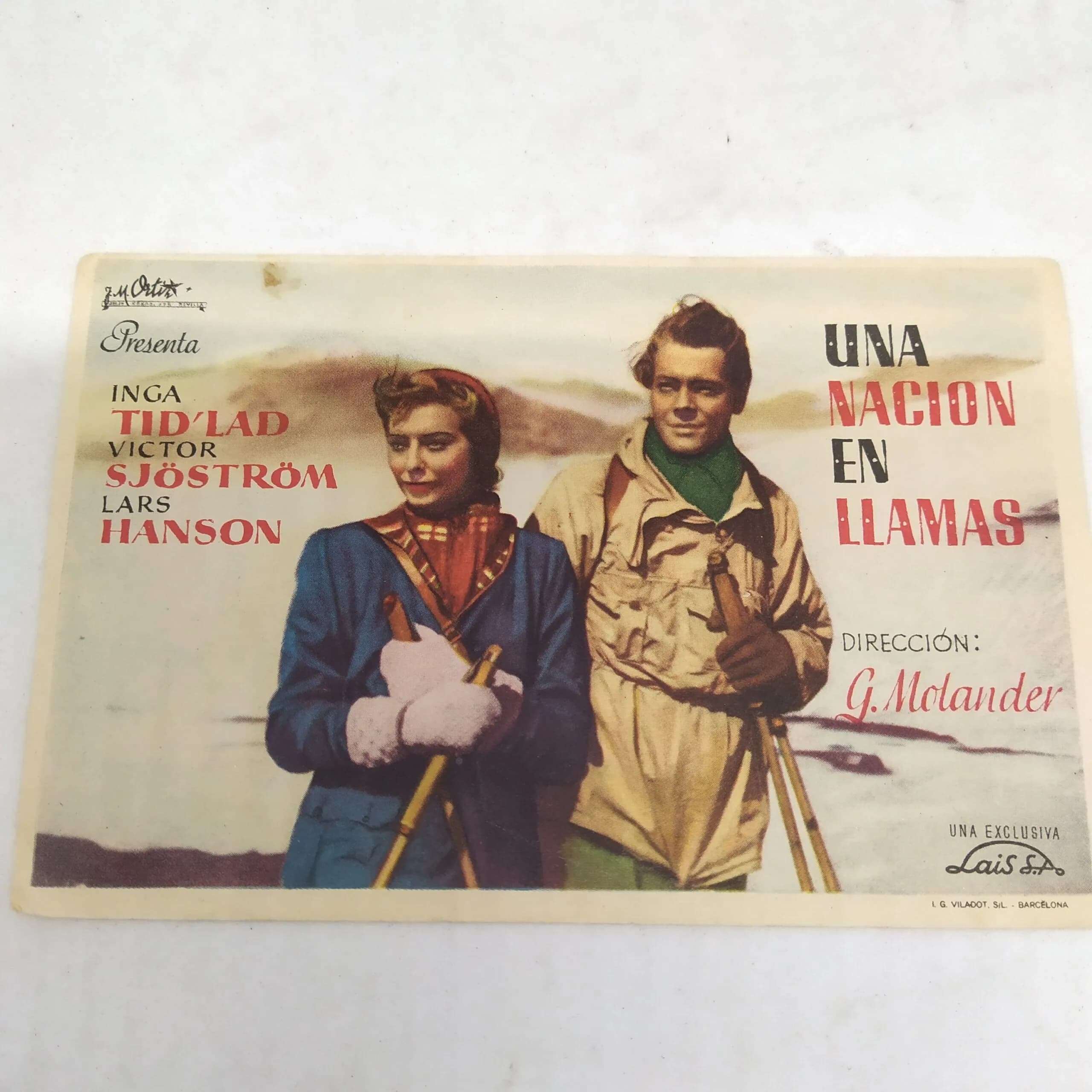 Afiche cine: una nación en llamas