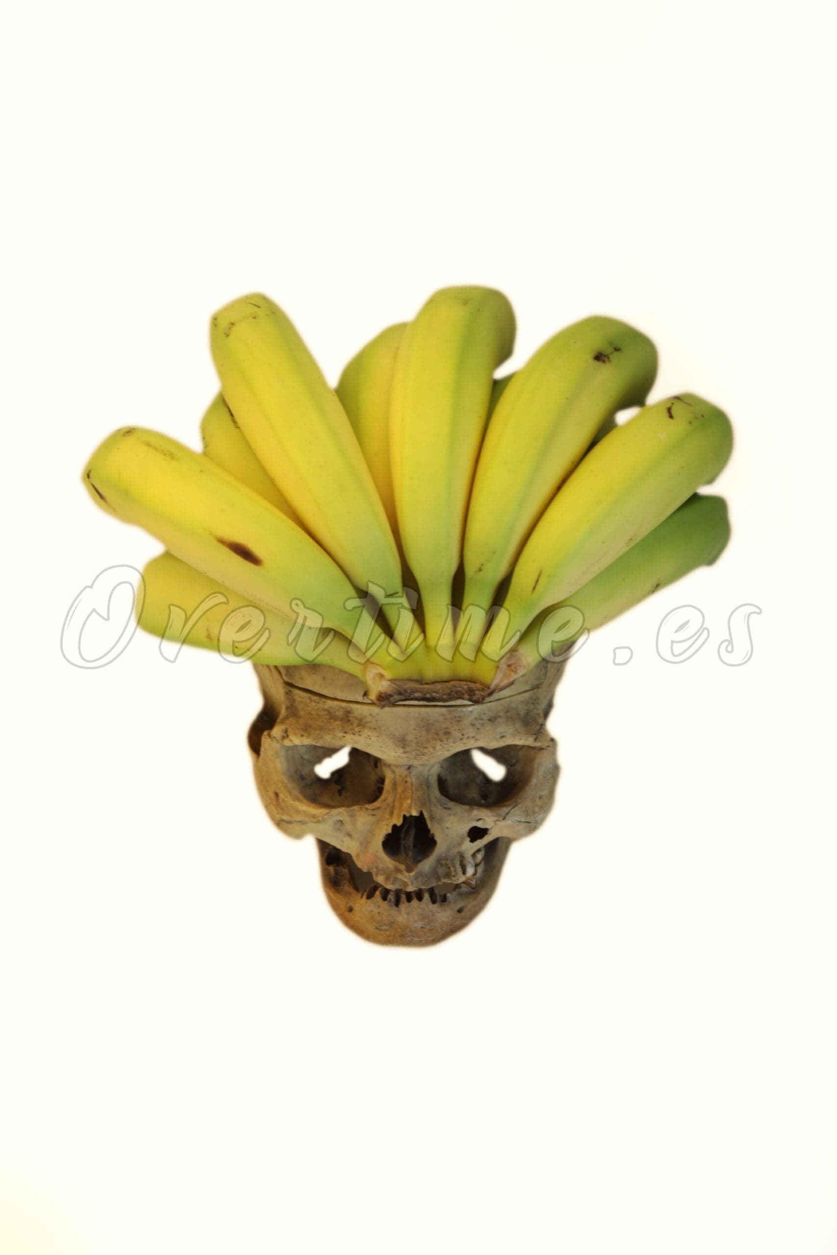 Fotografía "Momia Inca" 50 X 75