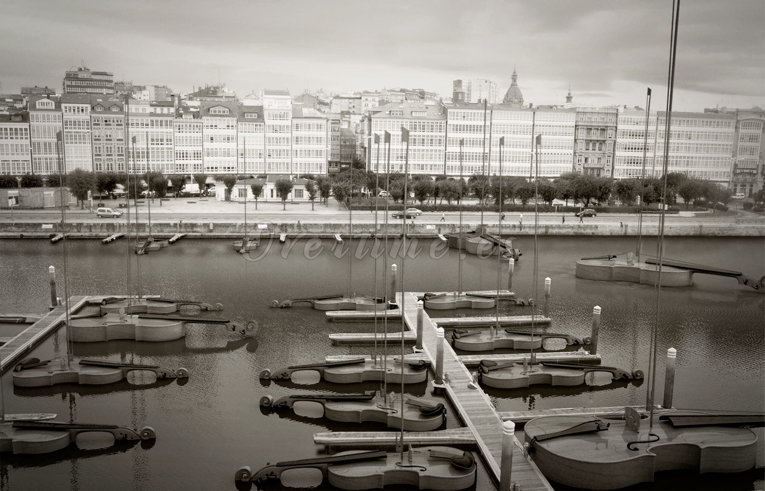 Fotografía "Veleros de Cuerda"