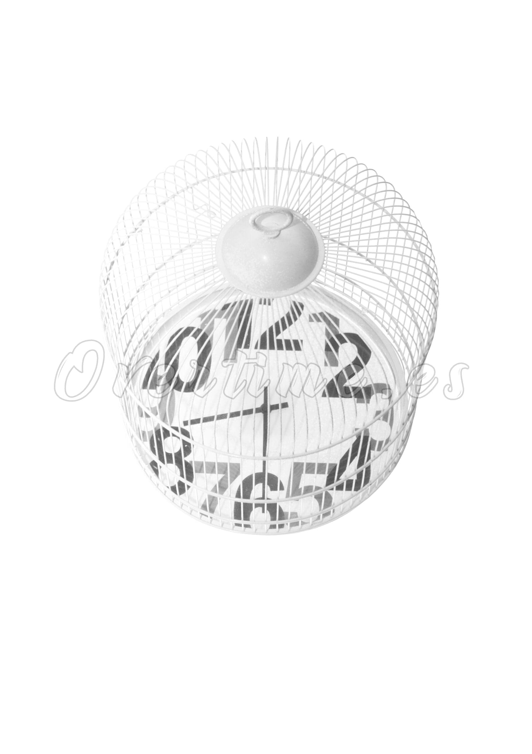 Fotografía "Nuestra jaula"