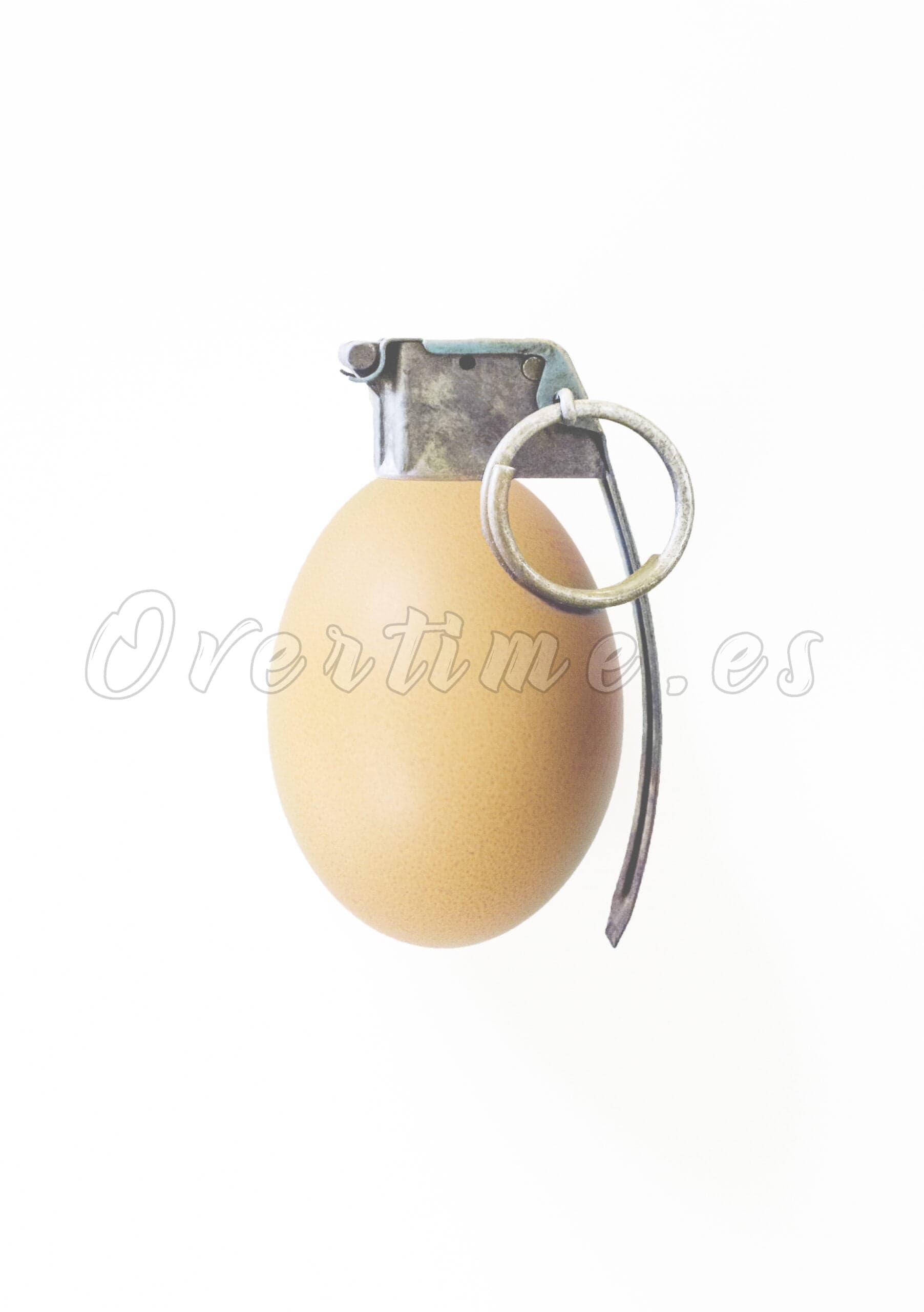 Fotografía "Granada de Granja"