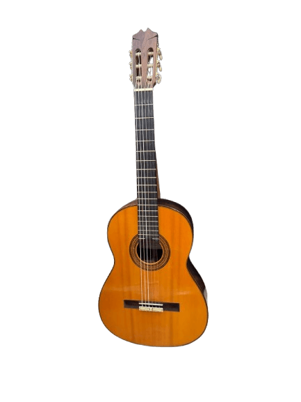 Guitarra Miguel Fernandez