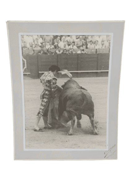 Fotografía Taurina Original