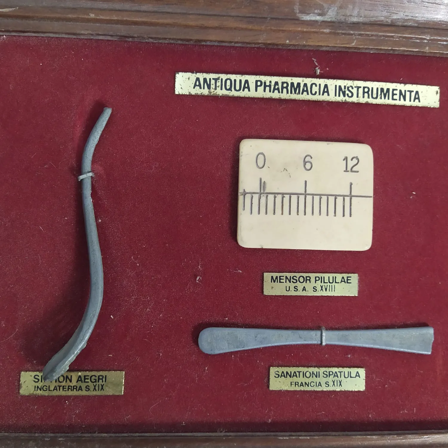 Exposición instrumentos farmacéuticos - Imagen 2
