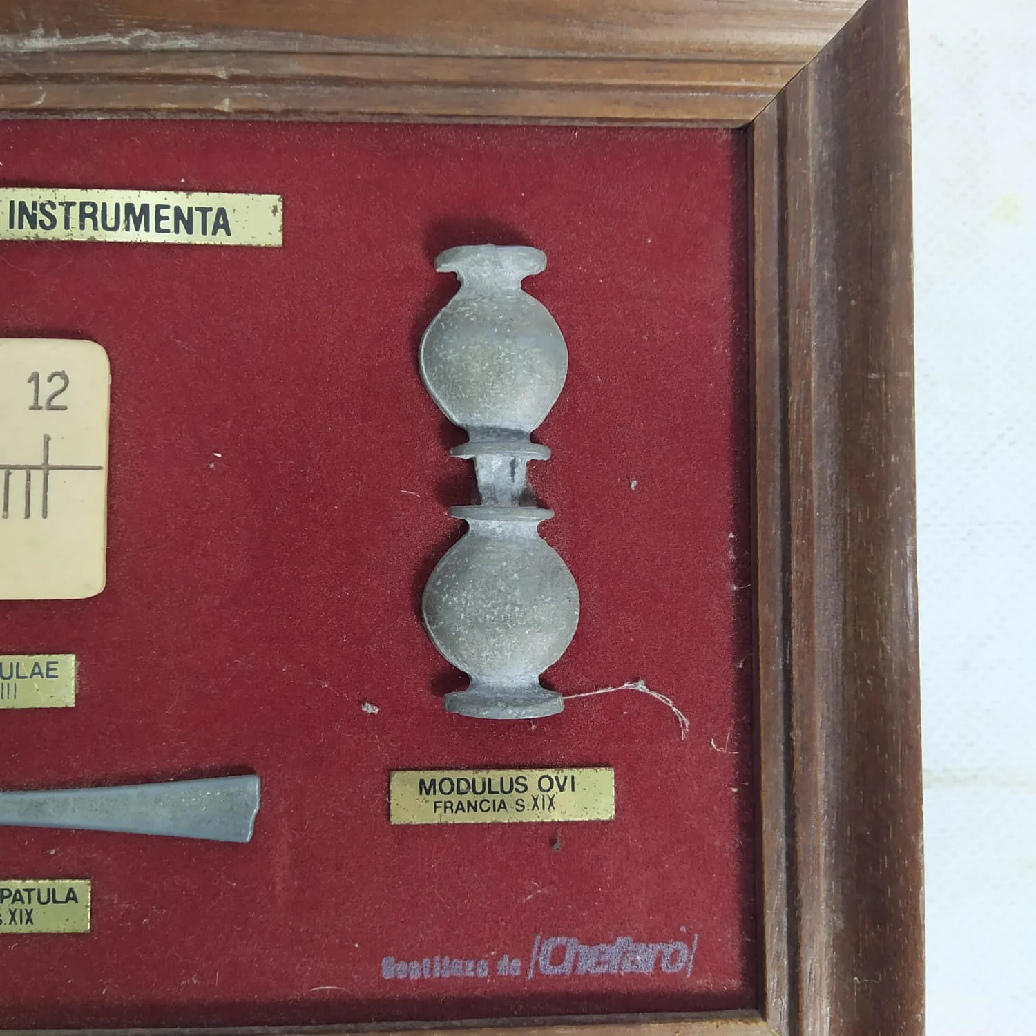 Exposición instrumentos farmacéuticos - Imagen 3