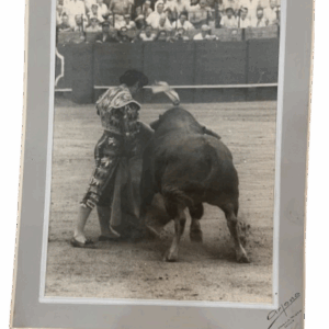 Trazos de Inspiración