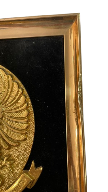 Escudo de armas dorado enmarcado - Imagen 3