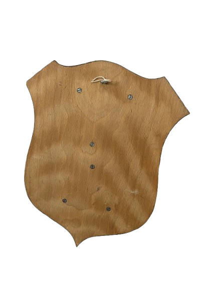 Metopa de Honor de la Guardia Civil - Imagen 3