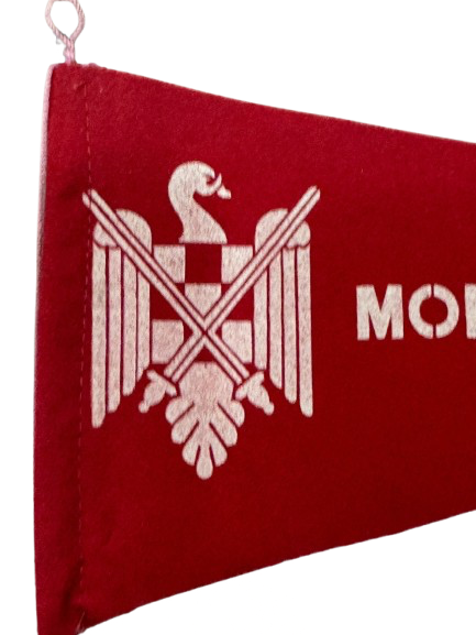 Bandera Triangular Montejaque 1964 - Imagen 3