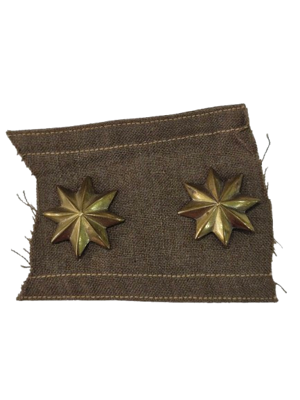 Insignia en forma de escudo